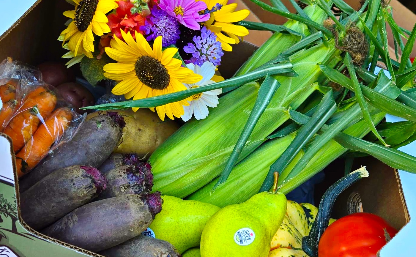 Fresh farm produce