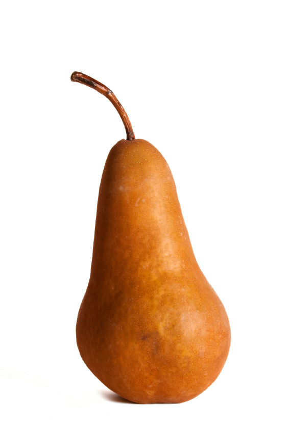 Bosc Pear Bosc Pear