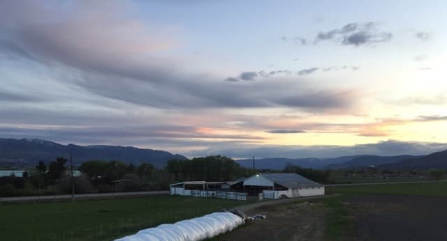 Photo of Barn in field at sunset